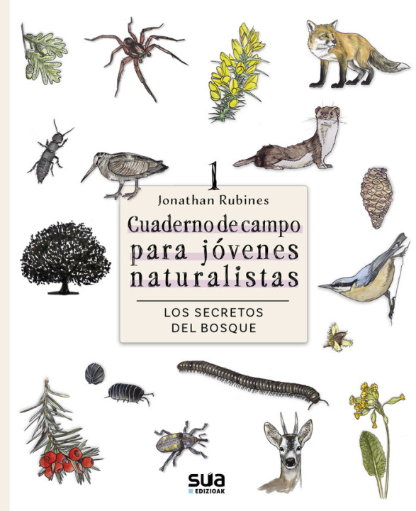 Kniha LOS SECRETOS DEL BOSQUE - CUADERNO DE CAMPO PARA JOVENES NATURALISTAS RUBINES