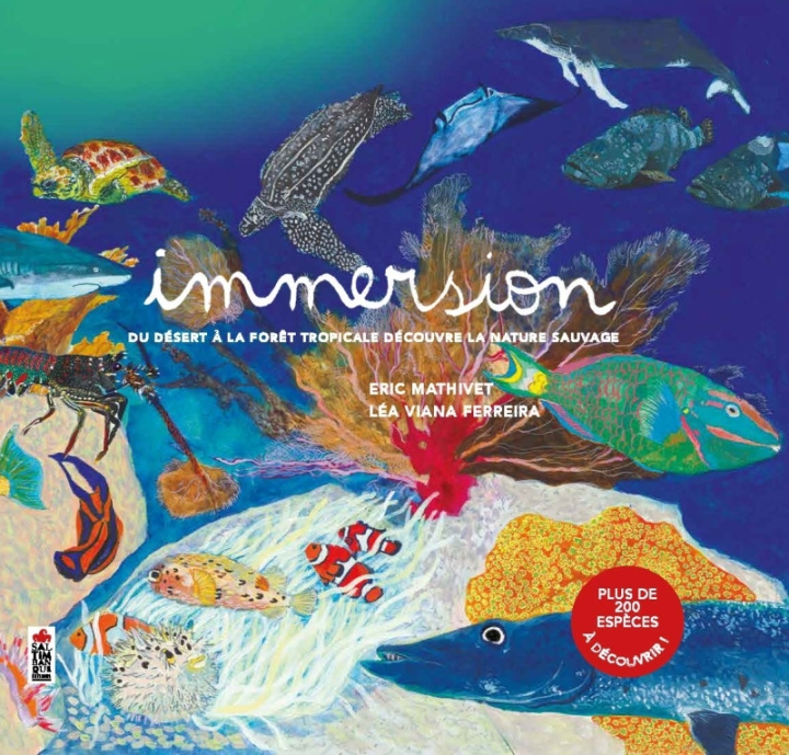 Book Immersion Eric Mathivet