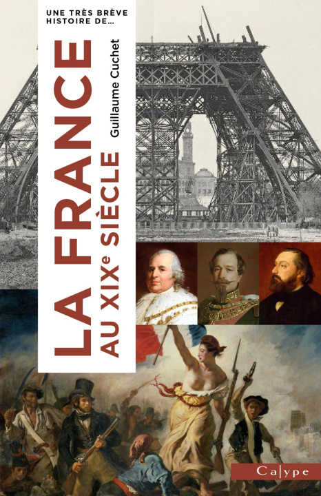 Knjiga Très brève histoire de la France au XIXe siècle Cuchet