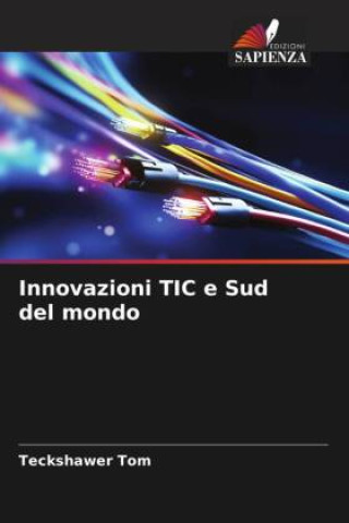 Buch Innovazioni TIC e Sud del mondo Teckshawer Tom