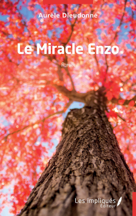 Buch Le Miracle Enzo Dieudonné