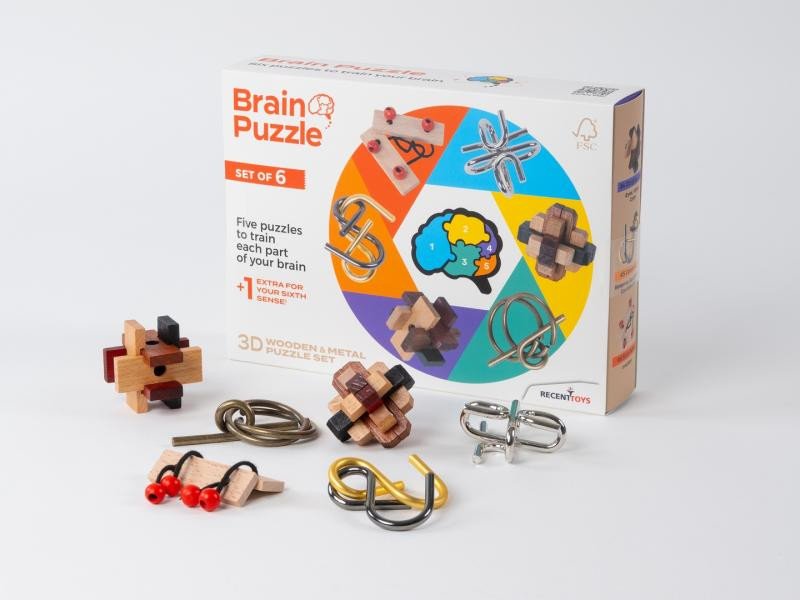 Juego/Juguete Recenttoys Hlavolam - Brain Puzzle (sada 6 ks) 