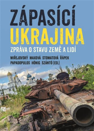 Buch Zápasící Ukrajina Vojtěch Hönig