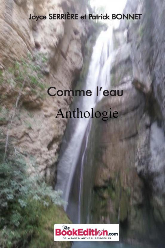 Knjiga Comme l'eau SERRIERE