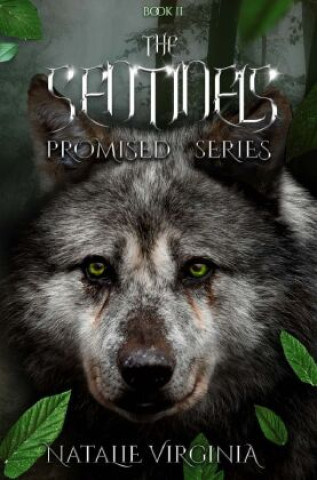 Knjiga The Sentinels Natalie Virginia