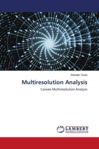 Knjiga Multiresolution Analysis Rishabh Tiwari