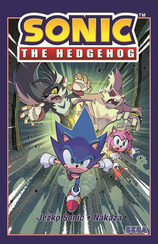 Kniha Ježko Sonic 4 - Nákaza Ian Flynn