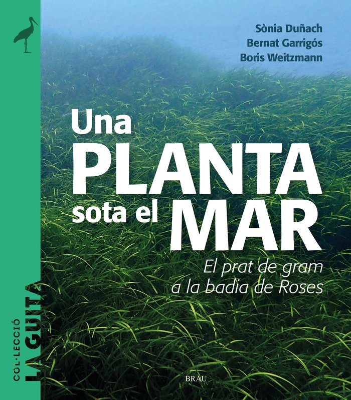 Könyv UNA PLANTA SOTA EL MAR DUÑACH