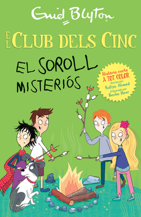 Knjiga UN SOROLL MISTERIOS Enid Blyton