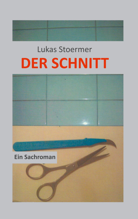 Knjiga Der Schnitt Lukas Stoermer