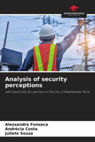 Knjiga Analysis of security perceptions Alessandro Fonseca