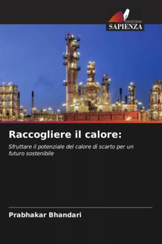 Carte Raccogliere il calore: Prabhakar Bhandari