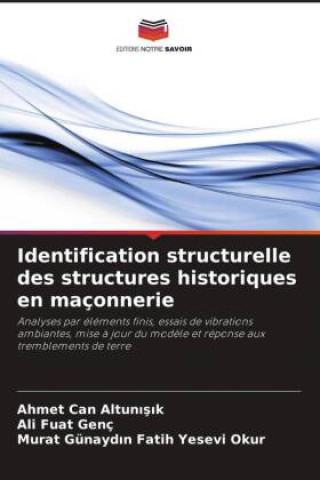Boek Identification structurelle des structures historiques en maçonnerie Ahmet Can Altunisik