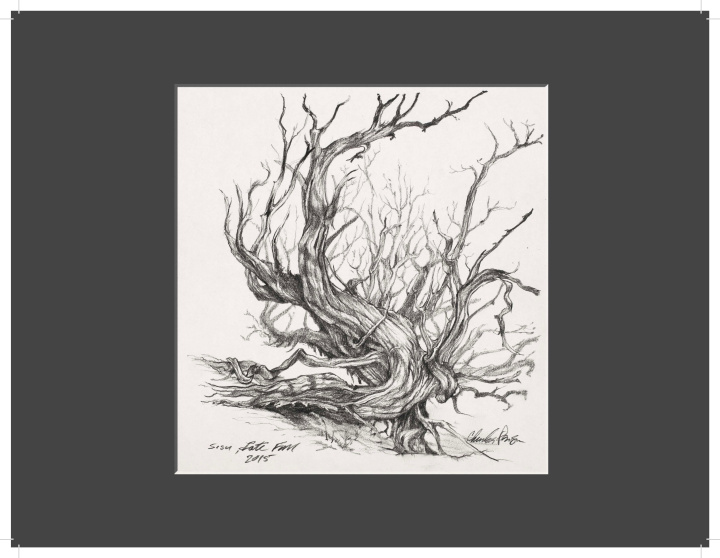 Book Charles Parson Drawing 