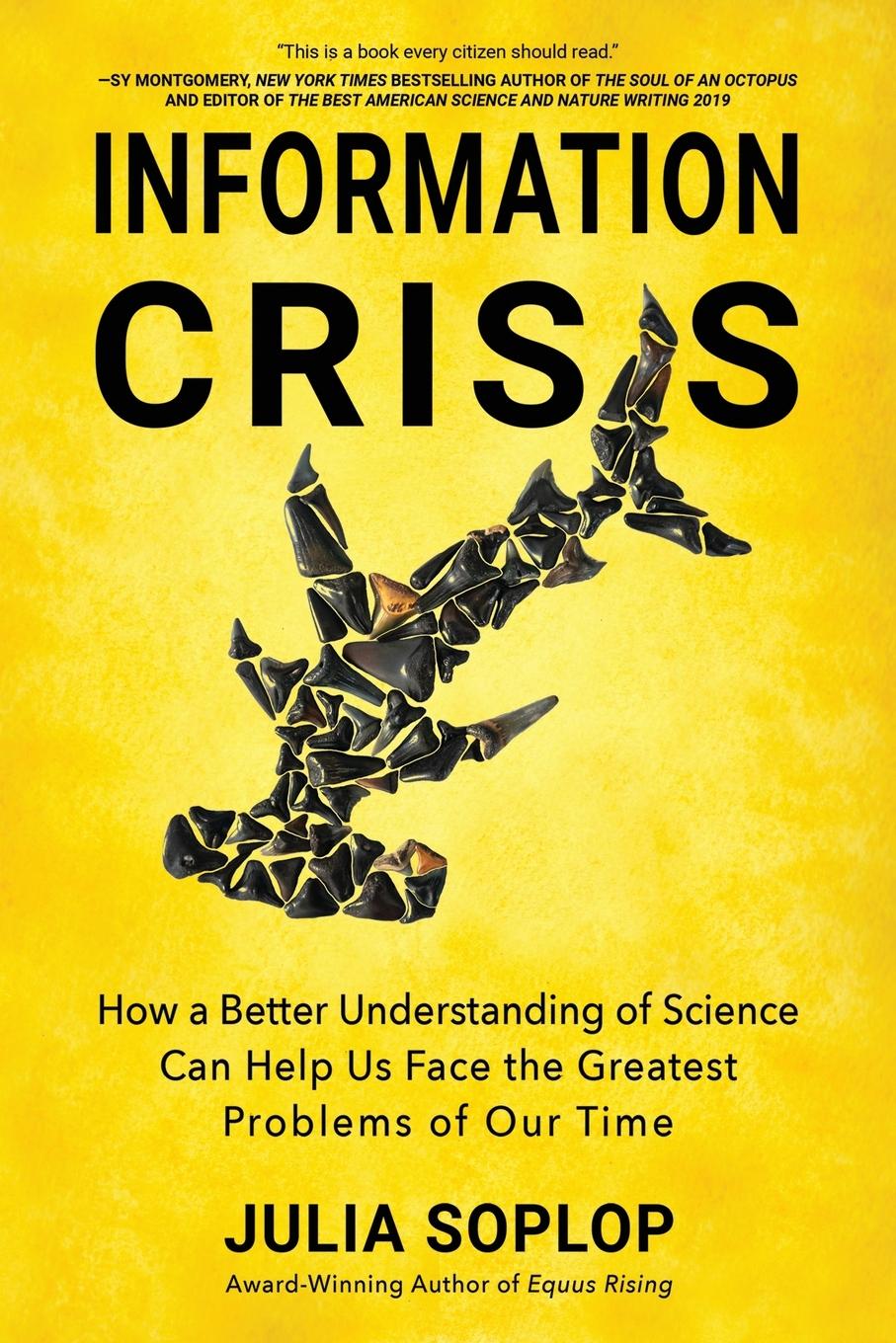Kniha Information Crisis Julia Soplop