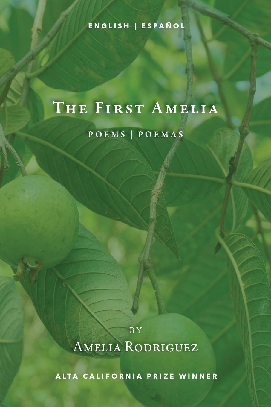 Buch The First Amelia Amelia Rodriguez