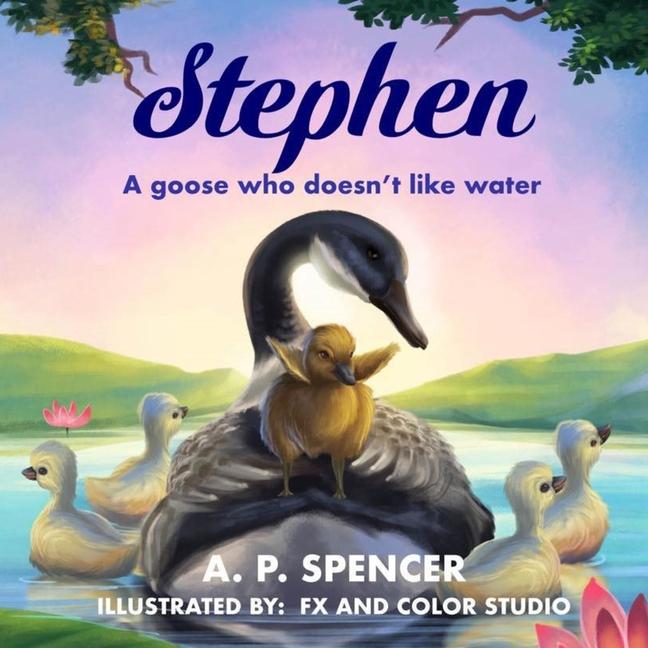 Knjiga Stephen Fx and Color Studio