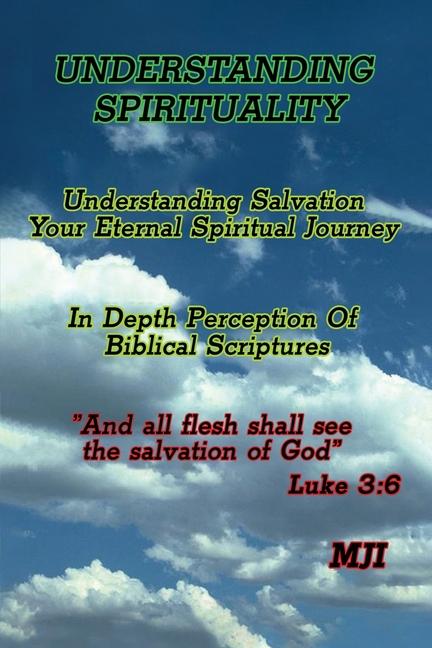 Knjiga Understanding Spirituality MJI (Michael J Iding)