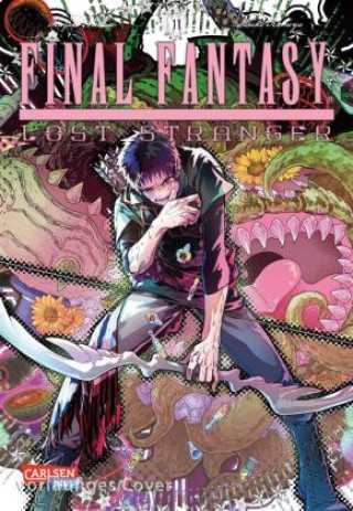 Kniha Final Fantasy ? Lost Stranger 11 Itsuki Kameya