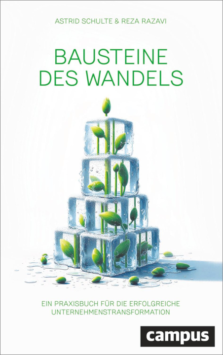Carte Bausteine des Wandels Reza Razavi