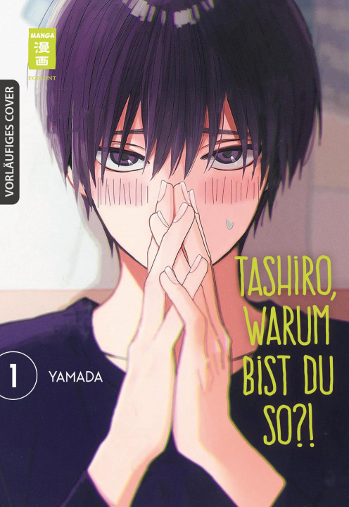 Kniha Tashiro, warum bist du so? 01 Melanie Schmitz