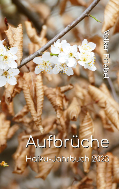 Knjiga Aufbrüche Volker Friebel