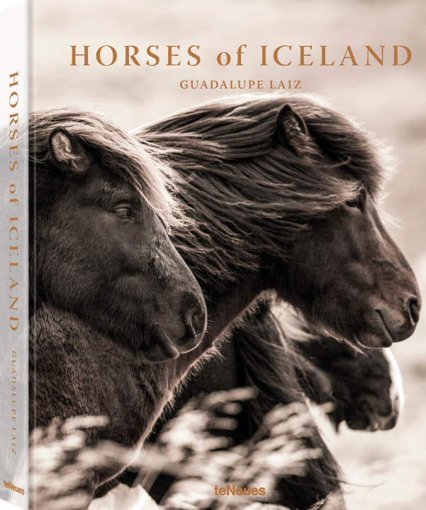 Książka Horses of Iceland 