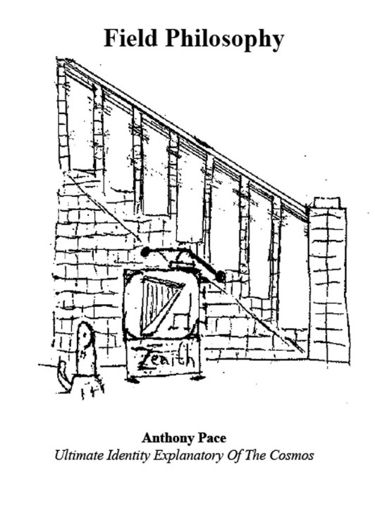 Buch Field Philosophy Anthony L Pace