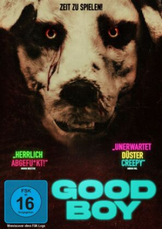 Video Good Boy, 1 DVD Viljar Bøe