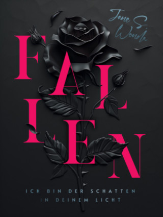 Buch Fallen J. S. Wonda