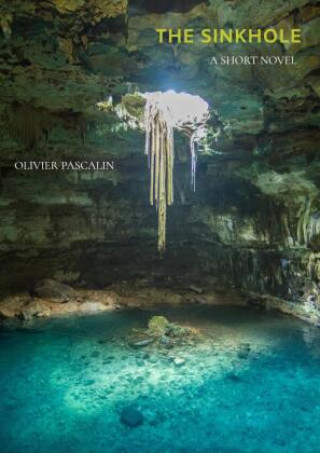 Knjiga The Sinkhole Olivier Pascalin