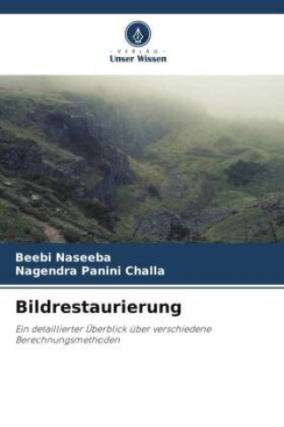 Buch Bildrestaurierung Beebi Naseeba