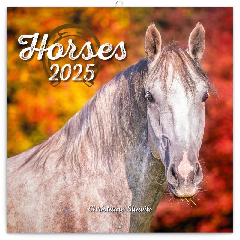 Calendar/Diary Kalendář 2025 poznámkový: Koně - Christiane Slawik, 30 × 30 cm 