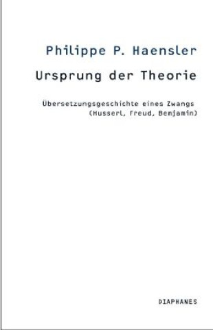 Buch Ursprung der Theorie Philippe P. Haensler