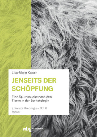 Książka Jenseits der Schöpfung Lisa-Marie Kaiser