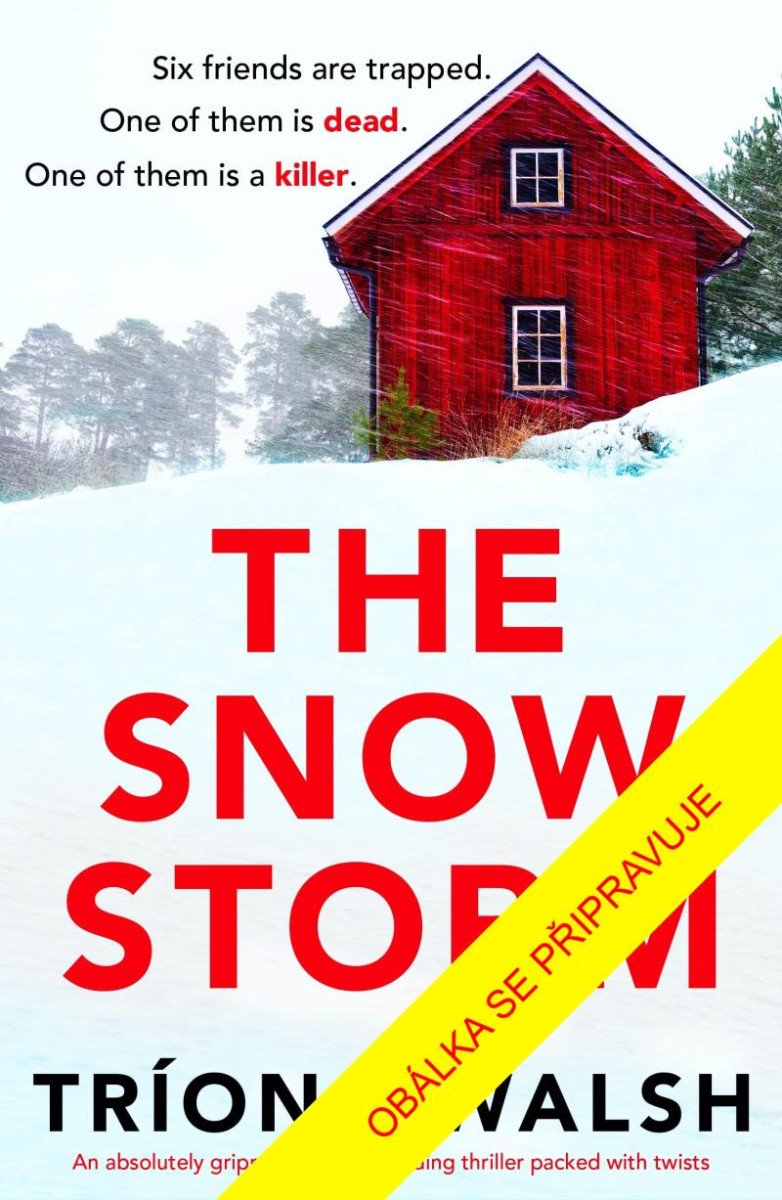 Book Sněhová bouře Triona Walsh