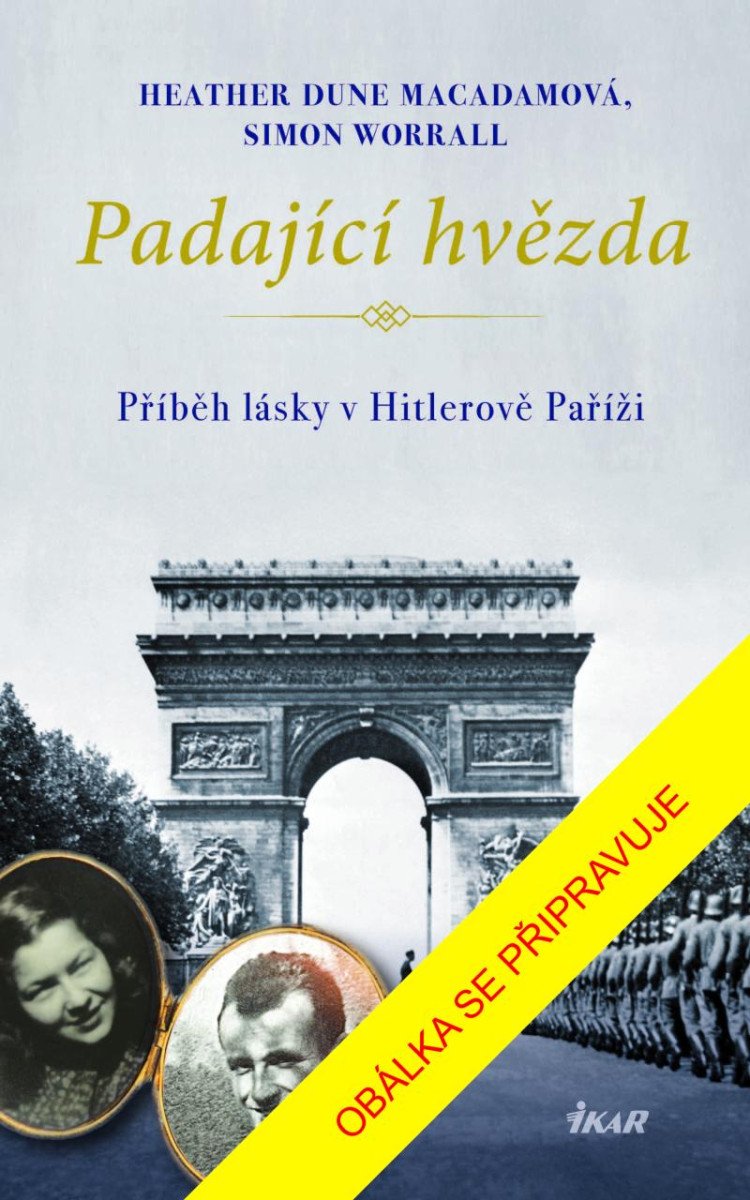 Buch Padající hvězda Heather Dune Macadamová