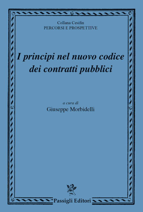 Könyv principi nel nuovo codice dei contratti pubblici 