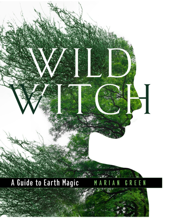 Книга Wild Witch Marian Green