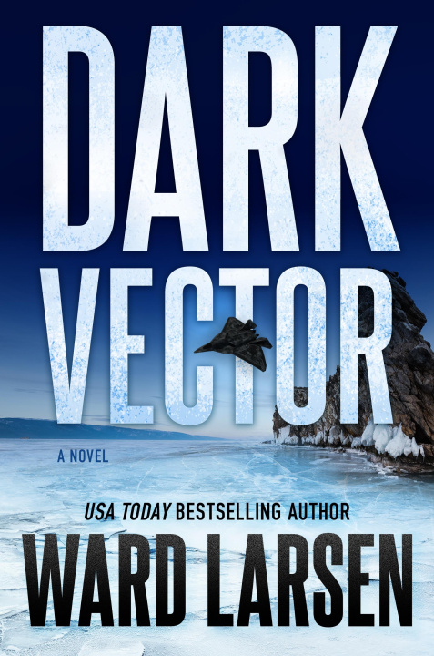 Könyv Dark Vector Larsen