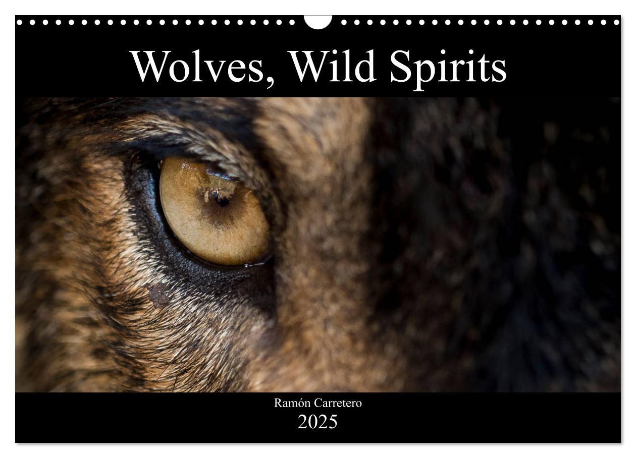 Calendar / Agendă Wolves, Wild Spirits (Wall Calendar 2025 DIN A3 landscape), CALVENDO 12 Month Wall Calendar 