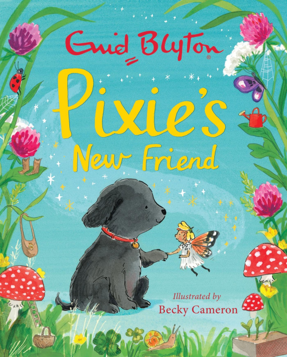 Book Pixie's New Friend Becky Cameron
