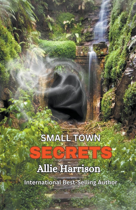 Knjiga Small Town Secrets Allie Harrison