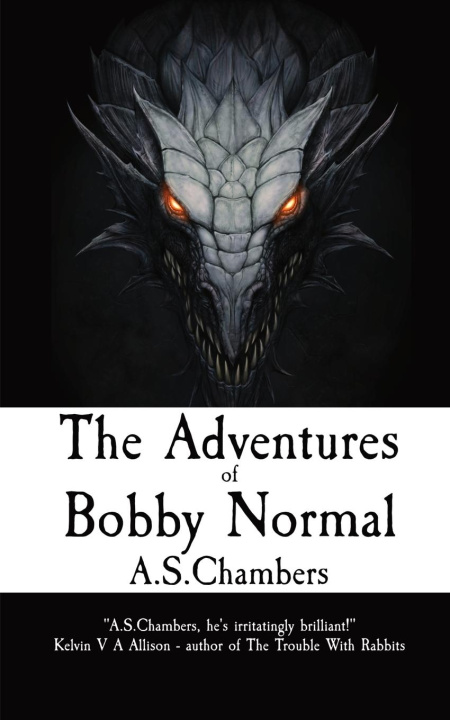 Kniha The Adventures of Bobby Normal 