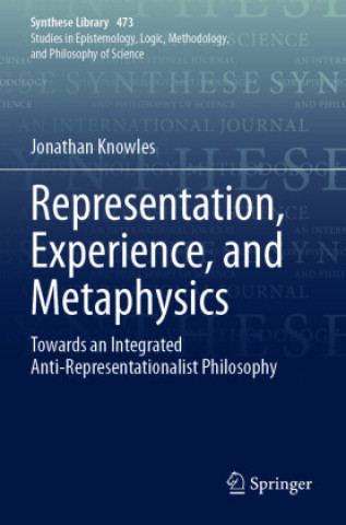 Knjiga Representation, Experience, and Metaphysics Jonathan Knowles
