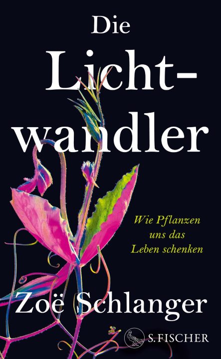 Libro Die Lichtwandler Laura Su Bischoff