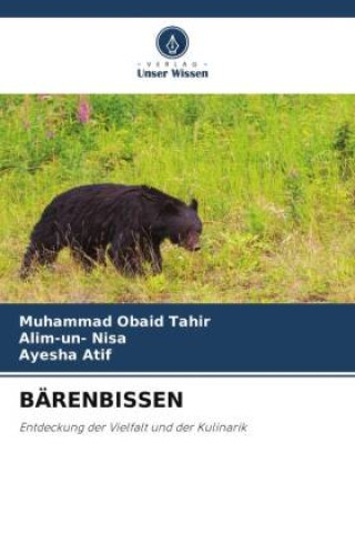 Carte BÄRENBISSEN Alim-Un Nisa