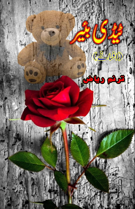 Knjiga Teddy Bear Tarannum Riyaz
