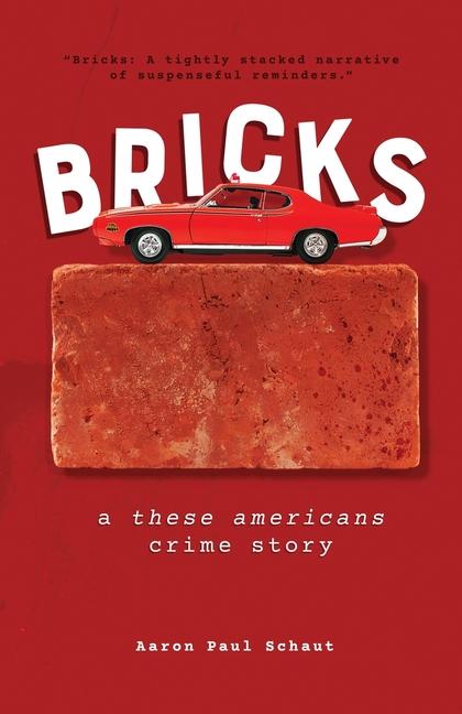 Knjiga Bricks Aaron Paul Schaut