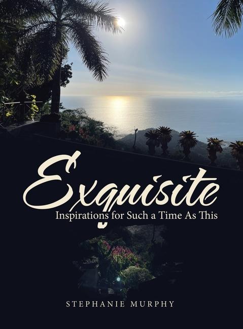 Buch Exquisite Stephanie Murphy